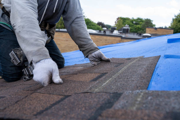 Roof Waterproofing Services in Valmeyer, IL