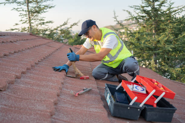 Best Roof Gutter Cleaning  in Valmeyer, IL